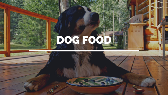 Uses for Low Protein Dog Food - Top Dawg Labs