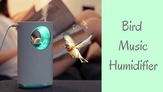 Humidifiers For Home - Top Dawg Labs