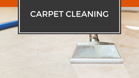 Local carpet cleaning companies - Top Dawg Labs