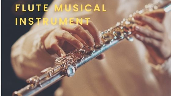 The Flute Instrument - Top Dawg Labs