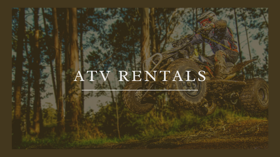 Enjoy The Outdoors With Atv Rentals - Top Dawg Labs