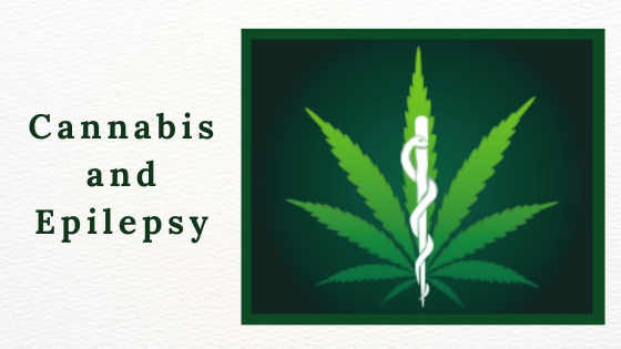 The Impact of Cannabis on Epileptic Seizures - Top Dawg Labs