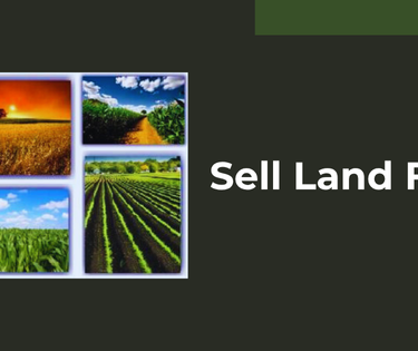Sell Your Land Fast for Cash: What to Expect From the Process - Top Dawg Labs