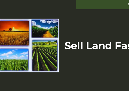 Sell Your Land Fast for Cash: What to Expect From the Process - Top Dawg Labs