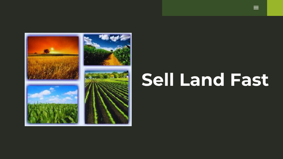 Sell Your Land Fast for Cash: What to Expect From the Process - Top Dawg Labs